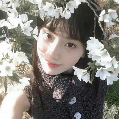 中国诗词大会第四季